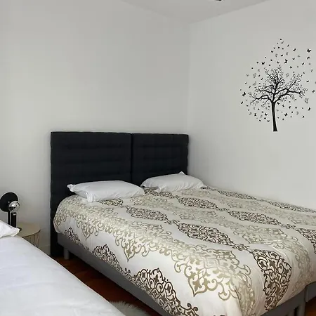 Le Stade Metz 1 Wifi Un Sejour A Part Apartment *