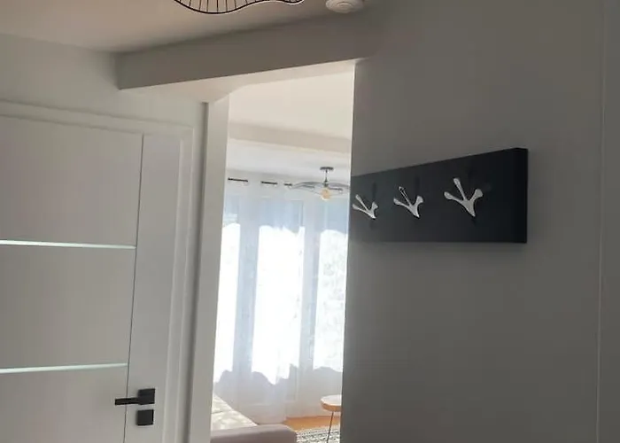 Le Stade Metz 1 Wifi Un Sejour A Part *