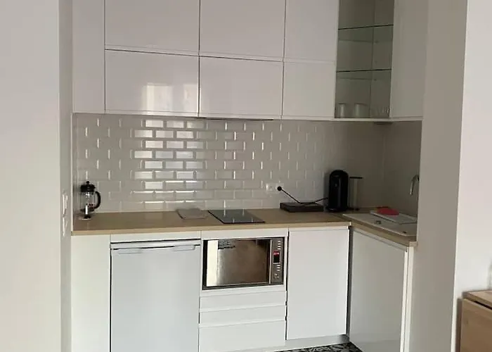 Le Stade Metz 1 Wifi Un Sejour A Part *