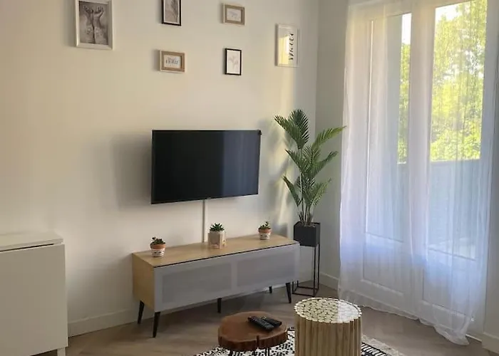 Le Stade Metz 1 Wifi Un Sejour A Part